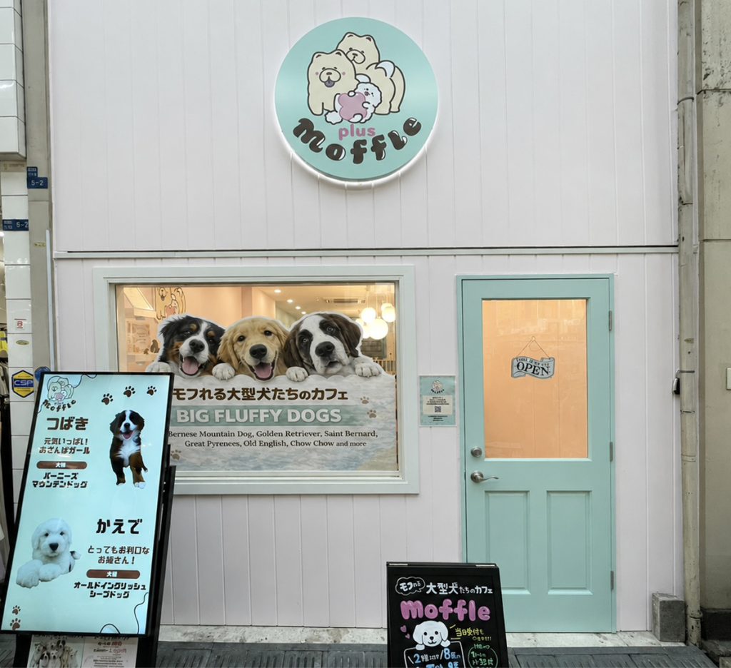 Moffle+ 大阪心斎橋店の店舗画像